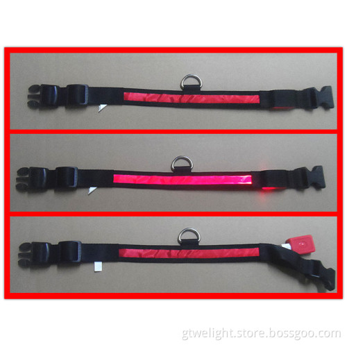 Illuminated LED Pet Collar Red